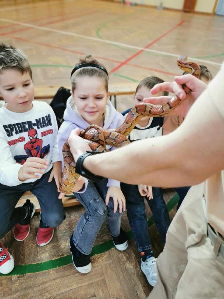 Dzieci podczas warszrtatów egzotycznych głaszczą węża